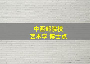 中西部院校 艺术学 博士点